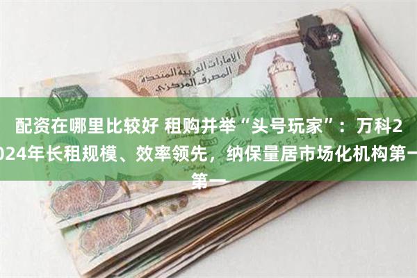 配资在哪里比较好 租购并举“头号玩家”：万科2024年长租规模、效率领先，纳保量居市场化机构第一