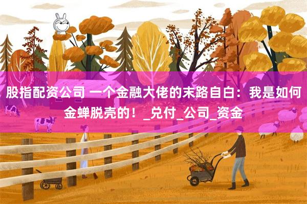股指配资公司 一个金融大佬的末路自白：我是如何金蝉脱壳的！_兑付_公司_资金