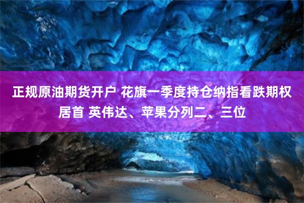 正规原油期货开户 花旗一季度持仓纳指看跌期权居首 英伟达、苹果分列二、三位