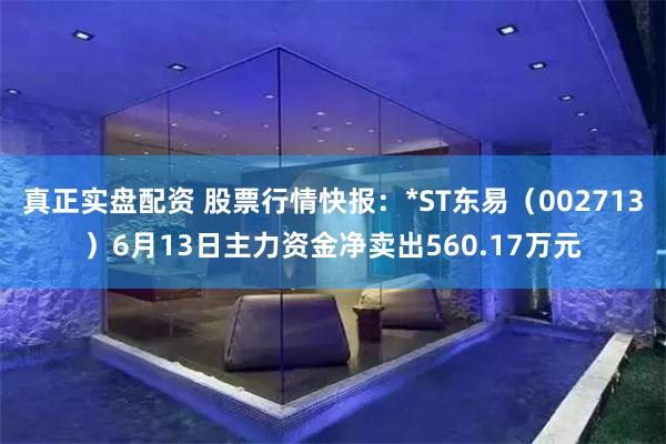 真正实盘配资 股票行情快报：*ST东易（002713）6月13日主力资金净卖出560.17万元