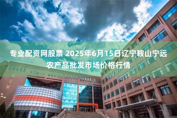 专业配资网股票 2025年6月15日辽宁鞍山宁远农产品批发市场价格行情